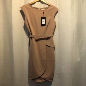 NWT The Limited Scandal Collection sheath dress size 6